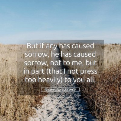 Picture 05 - 2 Corinthians 2:5 WEB - But if any has caused sorrow, he has caused - Bible Verse Picture