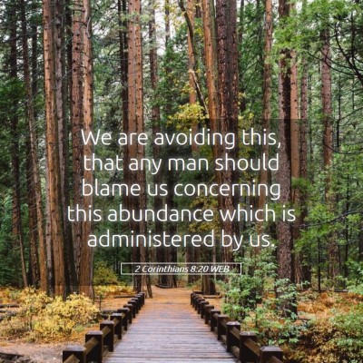 Picture 05 - 2 Corinthians 8:20 WEB - We are avoiding this, that any man should blame - Bible Verse Picture