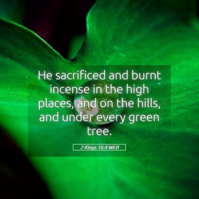 Picture 05 - 2 Kings 16:4 WEB - He sacrificed and burnt incense in the high - Bible Verse Picture