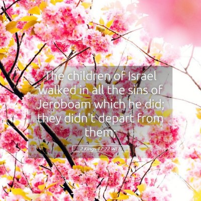 Picture 05 - 2 Kings 17:22 WEB - The children of Israel walked in all the sins of - Bible Verse Picture