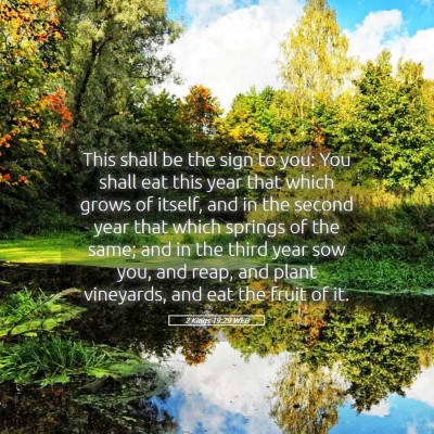 Picture 05 - 2 Kings 19:29 WEB - This shall be the sign to you: You shall eat this - Bible Verse Picture