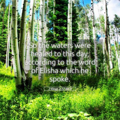 Picture 05 - 2 Kings 2:22 WEB - So the waters were healed to this day, according - Bible Verse Picture