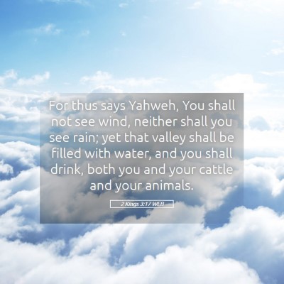 Picture 05 - 2 Kings 3:17 WEB - For thus says Yahweh, You shall not see wind, - Bible Verse Picture