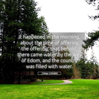 Picture 05 - 2 Kings 3:20 WEB - It happened in the morning, about the time of - Bible Verse Picture