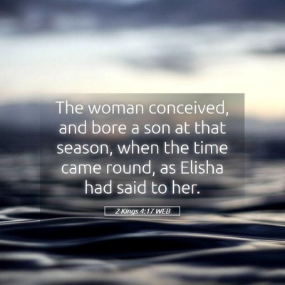 Picture 05 - 2 Kings 4:17 WEB - The woman conceived, and bore a son at that - Bible Verse Picture
