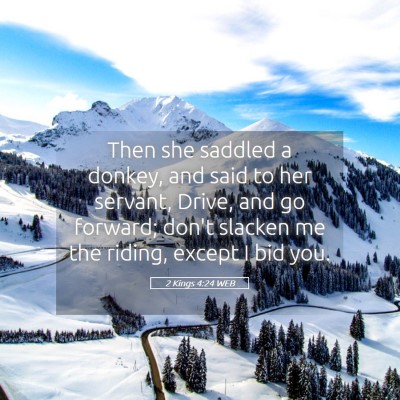 Picture 05 - 2 Kings 4:24 WEB - Then she saddled a donkey, and said to her - Bible Verse Picture