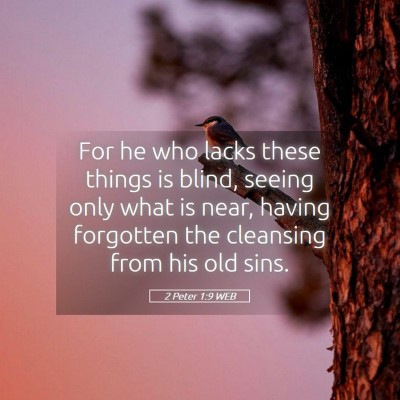 Picture 05 - 2 Peter 1:9 WEB - For he who lacks these things is blind, seeing - Bible Verse Picture