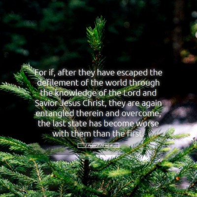 Picture 05 - 2 Peter 2:20 WEB - For if, after they have escaped the defilement of - Bible Verse Picture