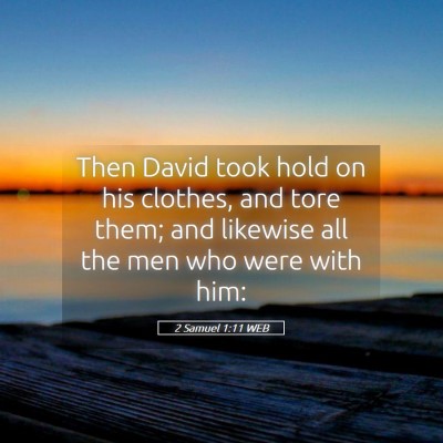 Picture 05 - 2 Samuel 1:11 WEB - Then David took hold on his clothes, and tore - Bible Verse Picture