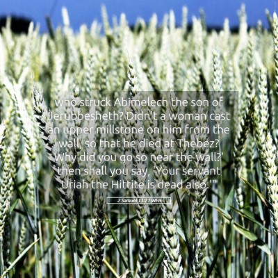 Picture 05 - 2 Samuel 11:21 WEB - who struck Abimelech the son of Jerubbesheth? - Bible Verse Picture