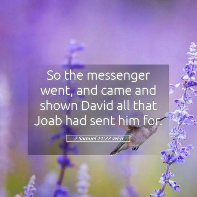 Picture 05 - 2 Samuel 11:22 WEB - So the messenger went, and came and shown David - Bible Verse Picture