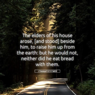 Picture 05 - 2 Samuel 12:17 WEB - The elders of his house arose, [and stood] beside - Bible Verse Picture