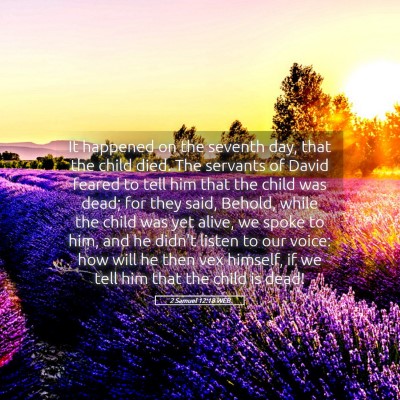 Picture 05 - 2 Samuel 12:18 WEB - It happened on the seventh day, that the child - Bible Verse Picture