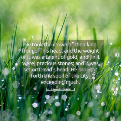 Picture 05 - 2 Samuel 12:30 WEB - He took the crown of their king from off his - Bible Verse Picture