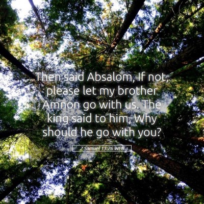 Picture 05 - 2 Samuel 13:26 WEB - Then said Absalom, If not, please let my brother - Bible Verse Picture