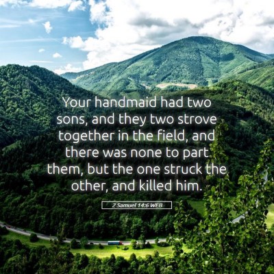 Picture 05 - 2 Samuel 14:6 WEB - Your handmaid had two sons, and they two strove - Bible Verse Picture