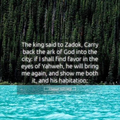 Picture 05 - 2 Samuel 15:25 WEB - The king said to Zadok, Carry back the ark of God - Bible Verse Picture