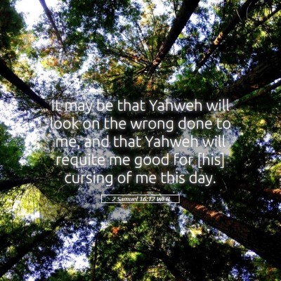 Picture 05 - 2 Samuel 16:12 WEB - It may be that Yahweh will look on the wrong done - Bible Verse Picture