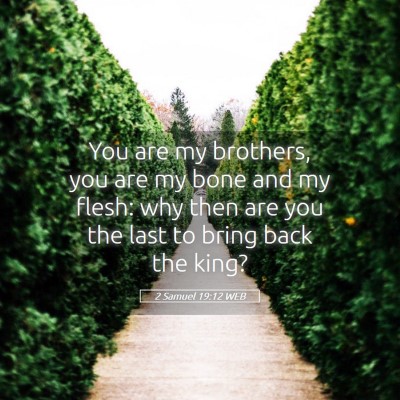 Picture 05 - 2 Samuel 19:12 WEB - You are my brothers, you are my bone and my - Bible Verse Picture