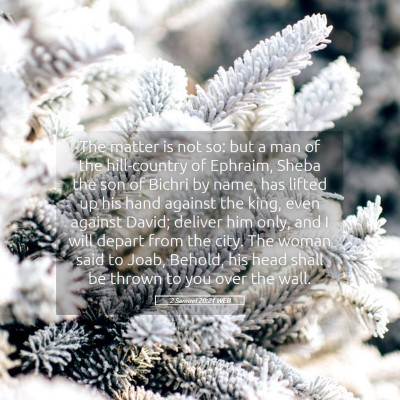 Picture 05 - 2 Samuel 20:21 WEB - The matter is not so: but a man of the - Bible Verse Picture
