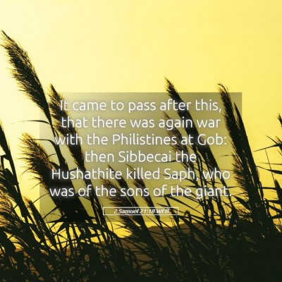 Picture 05 - 2 Samuel 21:18 WEB - It came to pass after this, that there was again - Bible Verse Picture