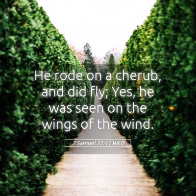 Picture 05 - 2 Samuel 22:11 WEB - He rode on a cherub, and did fly; Yes, he was - Bible Verse Picture
