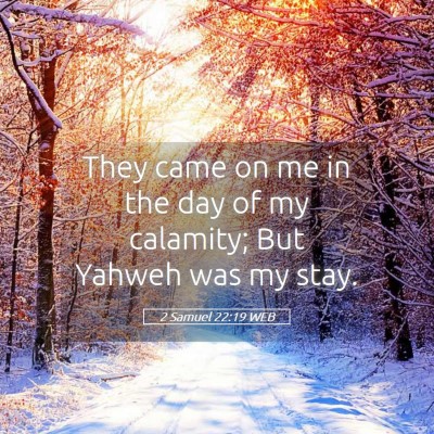 Picture 05 - 2 Samuel 22:19 WEB - They came on me in the day of my calamity; But - Bible Verse Picture