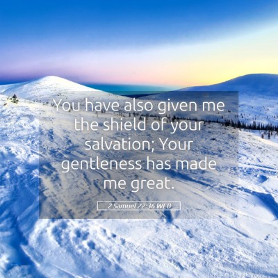 Picture 05 - 2 Samuel 22:36 WEB - You have also given me the shield of your - Bible Verse Picture