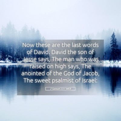 Picture 05 - 2 Samuel 23:1 WEB - Now these are the last words of David. David the - Bible Verse Picture