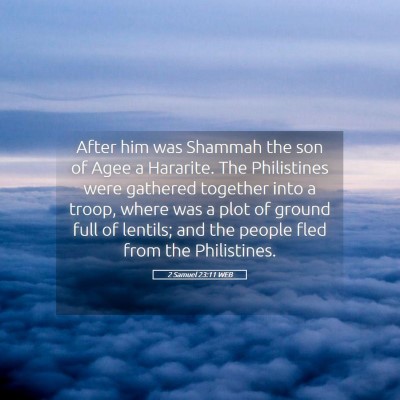 Picture 05 - 2 Samuel 23:11 WEB - After him was Shammah the son of Agee a Hararite. - Bible Verse Picture