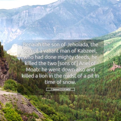 Picture 05 - 2 Samuel 23:20 WEB - Benaiah the son of Jehoiada, the son of a valiant - Bible Verse Picture