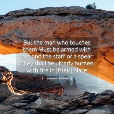 Picture 05 - 2 Samuel 23:7 WEB - But the man who touches them Must be armed with - Bible Verse Picture