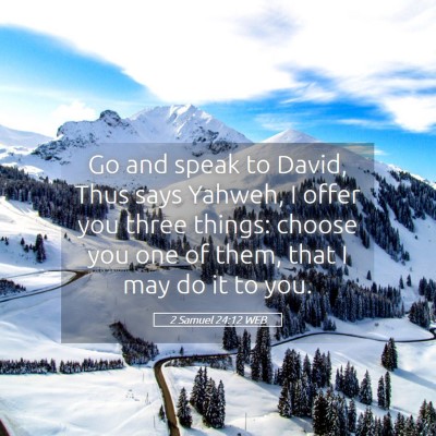 Picture 05 - 2 Samuel 24:12 WEB - Go and speak to David, Thus says Yahweh, I offer - Bible Verse Picture