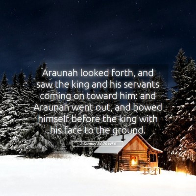 Picture 05 - 2 Samuel 24:20 WEB - Araunah looked forth, and saw the king and his - Bible Verse Picture