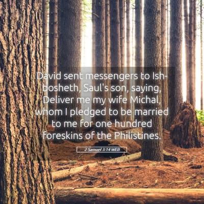 Picture 05 - 2 Samuel 3:14 WEB - David sent messengers to Ish-bosheth, Saul's son, - Bible Verse Picture