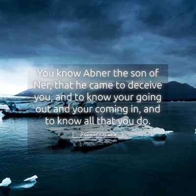 Picture 05 - 2 Samuel 3:25 WEB - You know Abner the son of Ner, that he came to - Bible Verse Picture