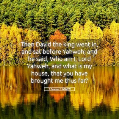Picture 05 - 2 Samuel 7:18 WEB - Then David the king went in, and sat before - Bible Verse Picture