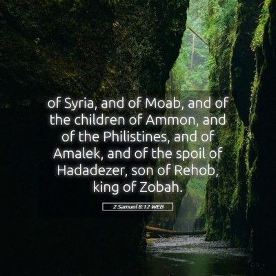 Picture 05 - 2 Samuel 8:12 WEB - of Syria, and of Moab, and of the children of - Bible Verse Picture