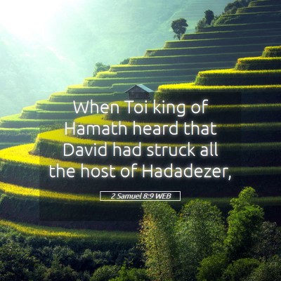 Picture 05 - 2 Samuel 8:9 WEB - When Toi king of Hamath heard that David had - Bible Verse Picture