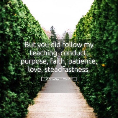 Picture 05 - 2 Timothy 3:10 WEB - But you did follow my teaching, conduct, purpose, - Bible Verse Picture