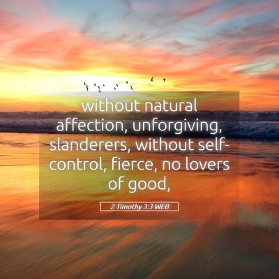 Picture 05 - 2 Timothy 3:3 WEB - without natural affection, unforgiving, - Bible Verse Picture
