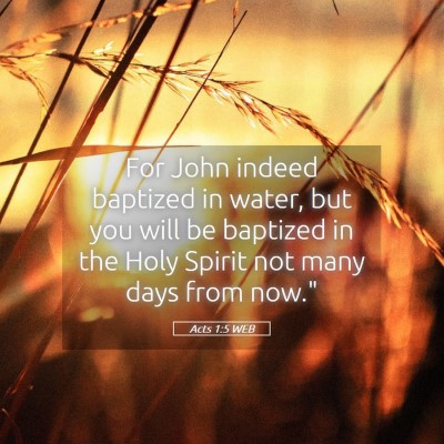 Picture 05 - Acts 1:5 WEB - For John indeed baptized in water, but you will - Bible Verse Picture