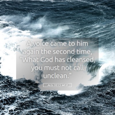 Picture 05 - Acts 10:15 WEB - A voice came to him again the second time, 