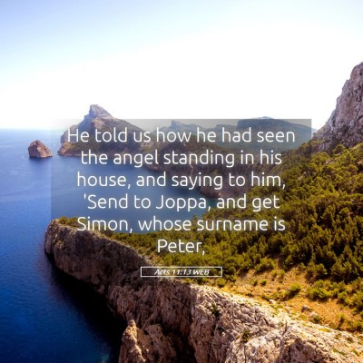 Picture 05 - Acts 11:13 WEB - He told us how he had seen the angel standing in - Bible Verse Picture