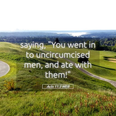 Picture 05 - Acts 11:3 WEB - saying, 