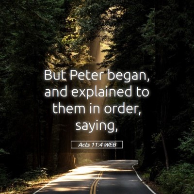 Picture 05 - Acts 11:4 WEB - But Peter began, and explained to them in order, - Bible Verse Picture