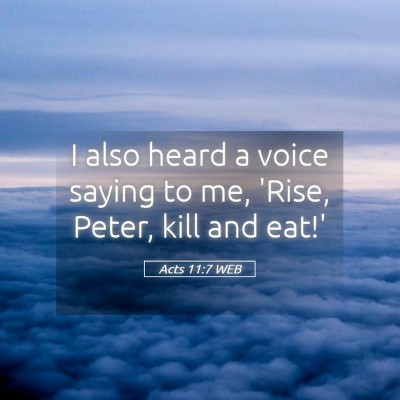 Picture 05 - Acts 11:7 WEB - I also heard a voice saying to me, 'Rise, Peter, - Bible Verse Picture
