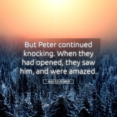 Picture 05 - Acts 12:16 WEB - But Peter continued knocking. When they had - Bible Verse Picture