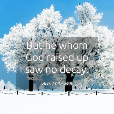 Picture 05 - Acts 13:37 WEB - But he whom God raised up saw no - Bible Verse Picture