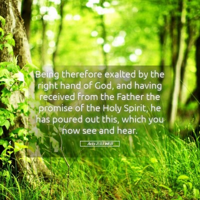 Picture 05 - Acts 2:33 WEB - Being therefore exalted by the right hand of God, - Bible Verse Picture